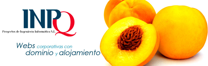 Webs corporativas con dominio y alojamiento