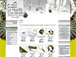 La tienda de La Planta Cact�cea